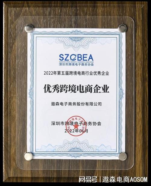 此次获奖是对遨森电商专业能力及企业服务实力的高度认可.